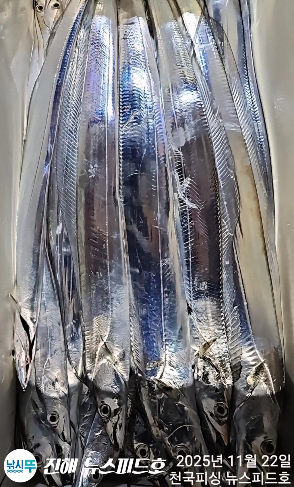 낚시뚜,,진해행암항,진해 뉴스피드호,낚시뚜11