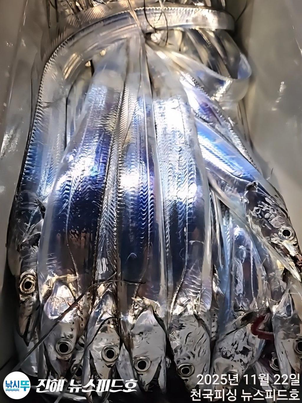 낚시뚜,,진해행암항,진해 뉴스피드호,낚시뚜8