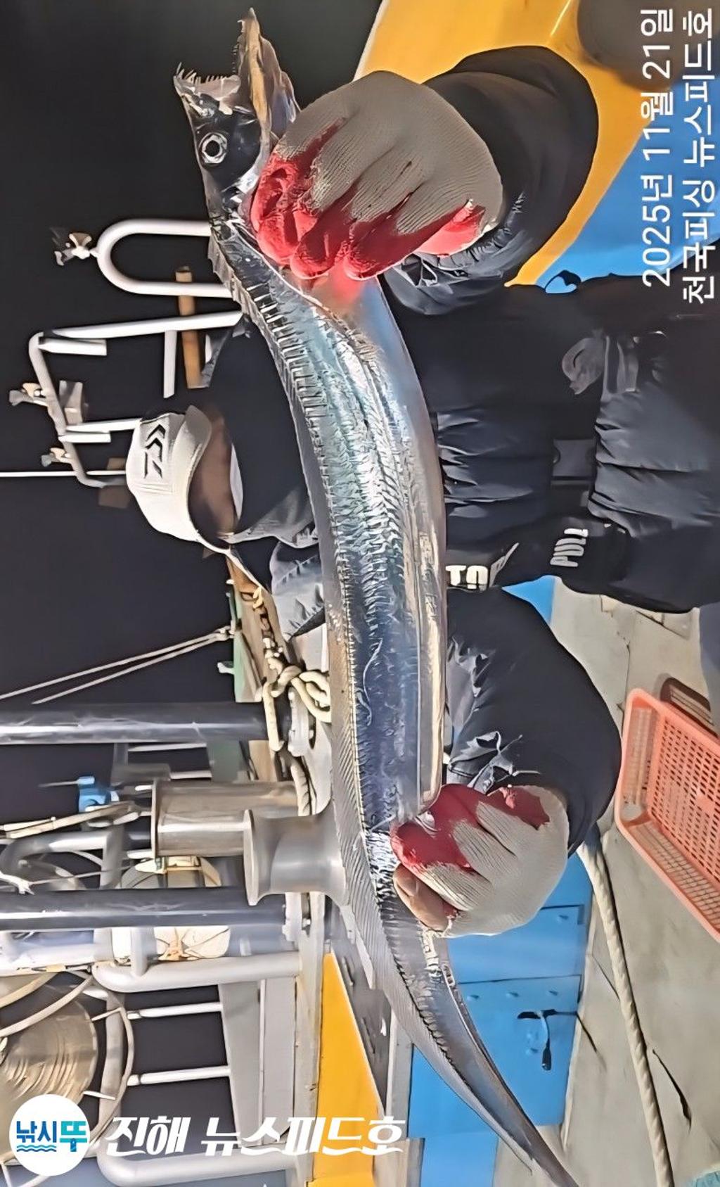 낚시뚜,,진해행암항,진해 뉴스피드호,낚시뚜1