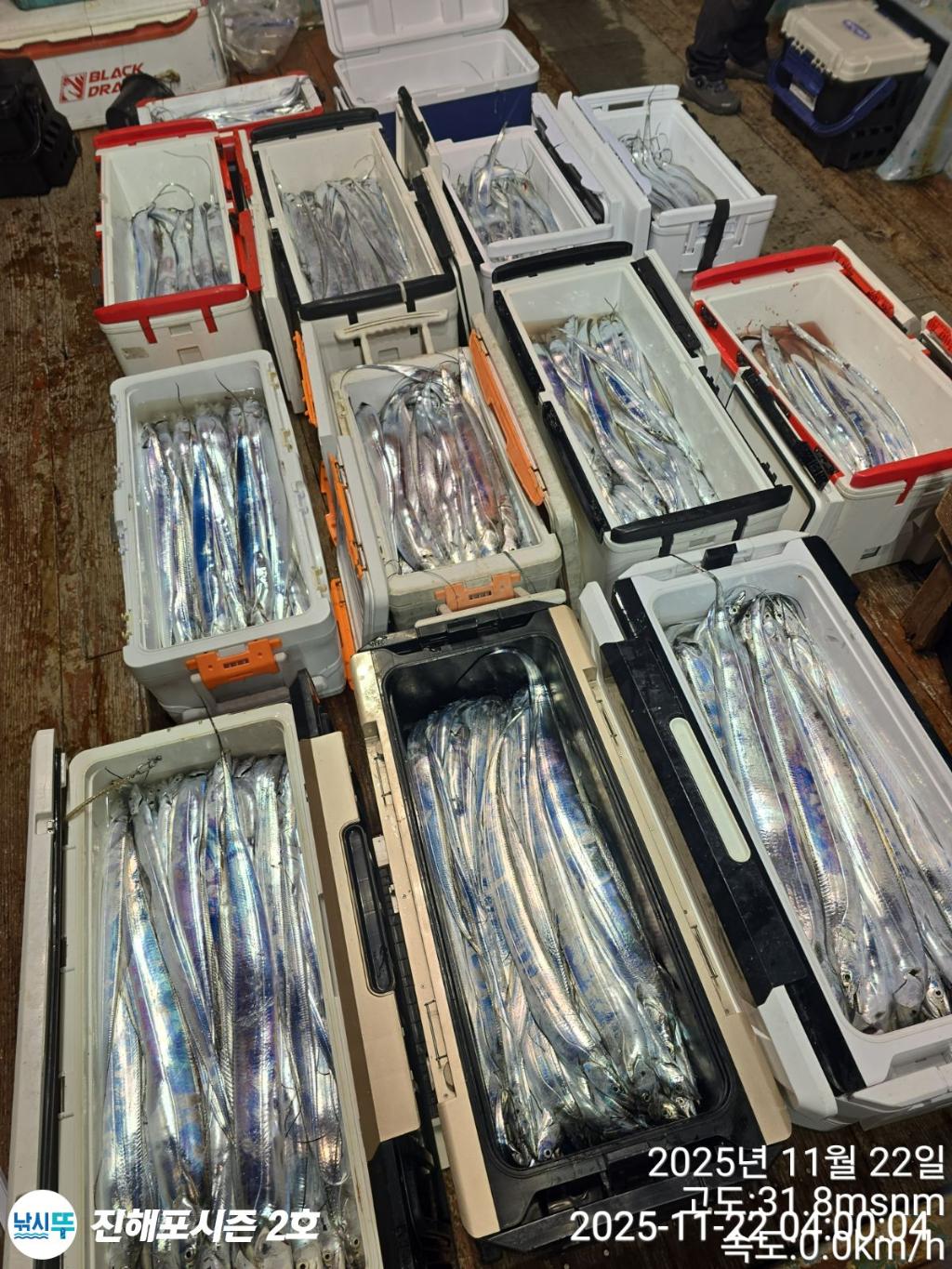 낚시뚜,갈치,진해행암항,진해포시즌 2호,낚시뚜23