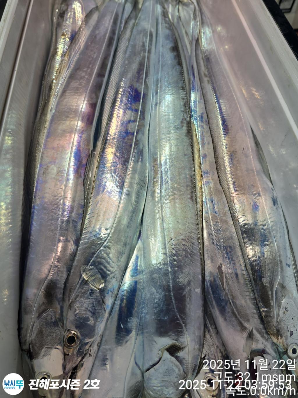 낚시뚜,갈치,진해행암항,진해포시즌 2호,낚시뚜20