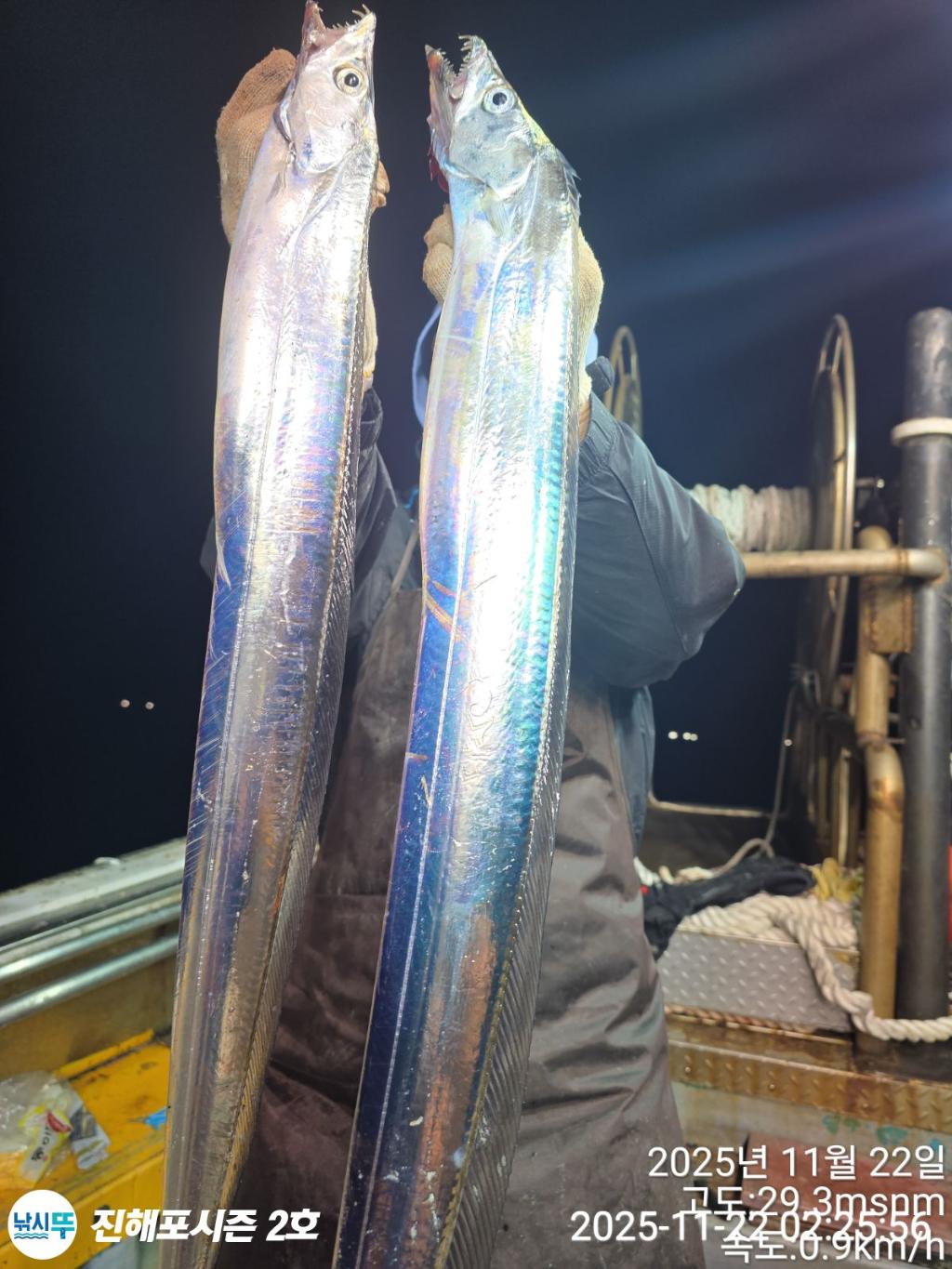 낚시뚜,갈치,진해행암항,진해포시즌 2호,낚시뚜10