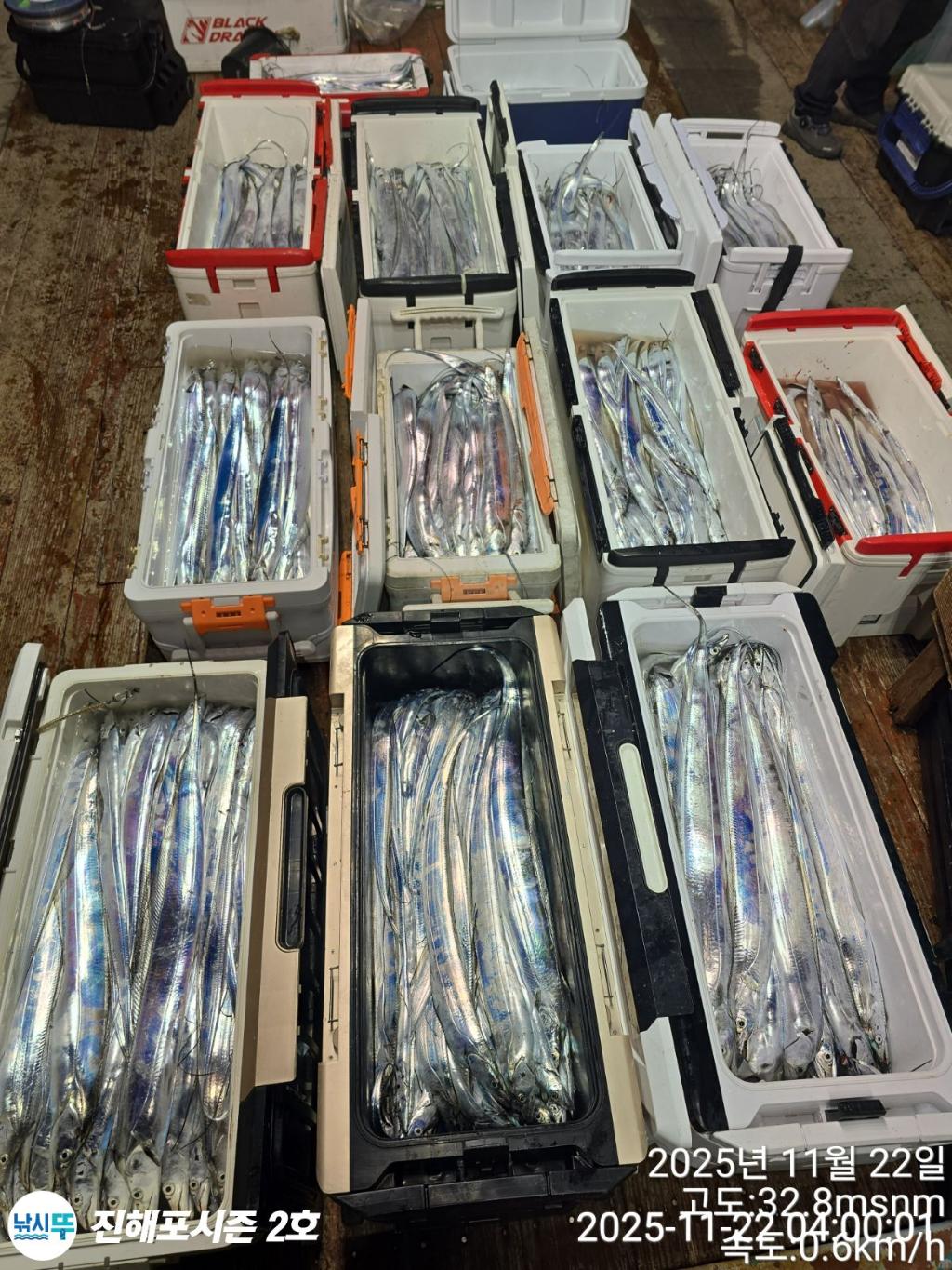 낚시뚜,갈치,진해행암항,진해포시즌 2호,낚시뚜0