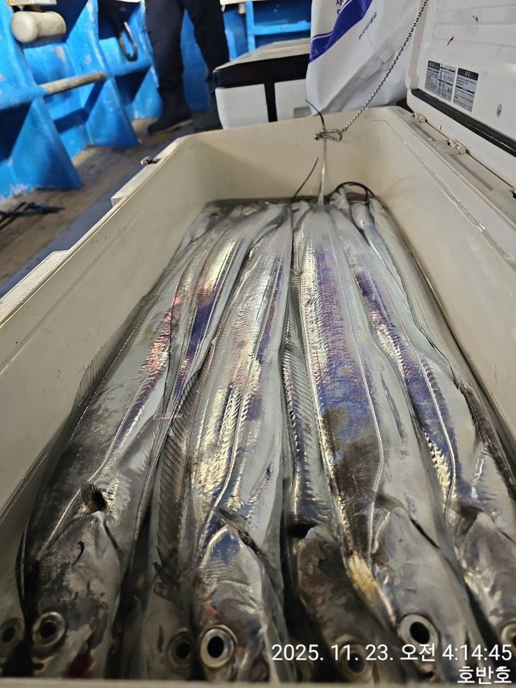 낚시뚜,갈치,통영 신전항,통영호반호,낚시뚜57