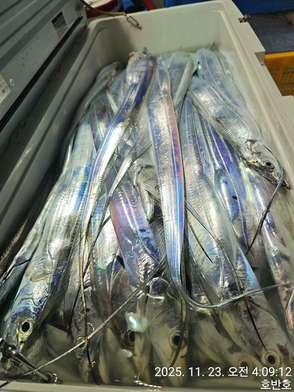 낚시뚜,갈치,통영 신전항,통영호반호,낚시뚜36