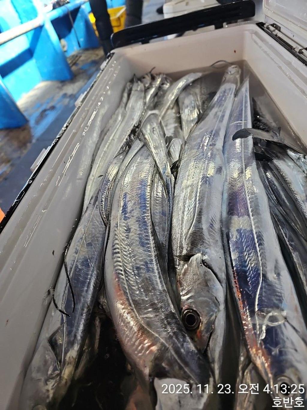 낚시뚜,갈치,통영 신전항,통영호반호,낚시뚜32