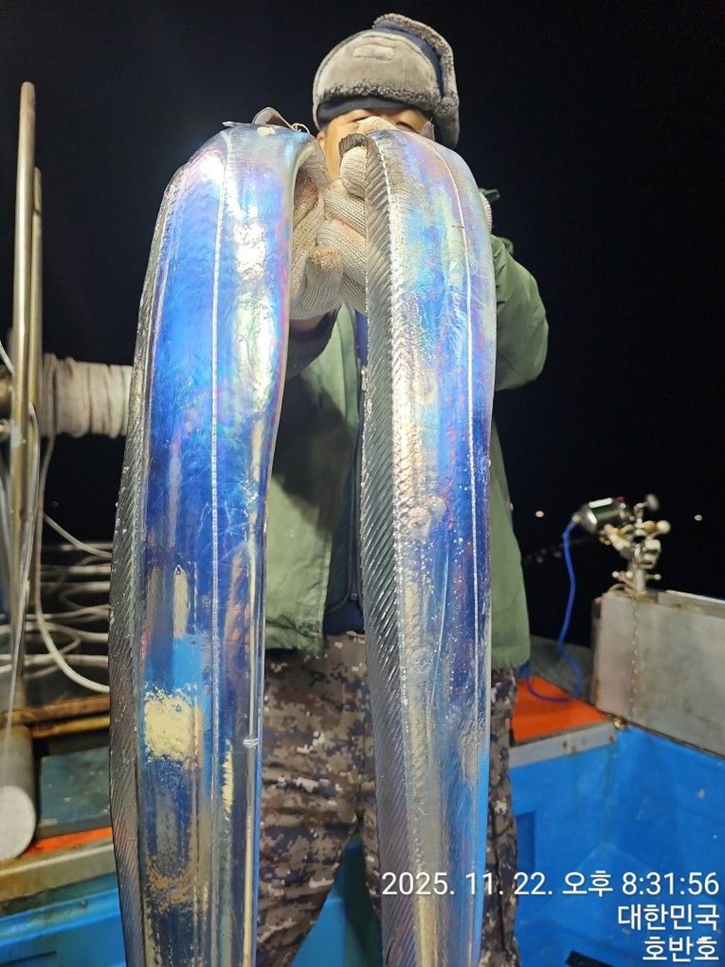 낚시뚜,갈치,통영 신전항,통영호반호,낚시뚜30