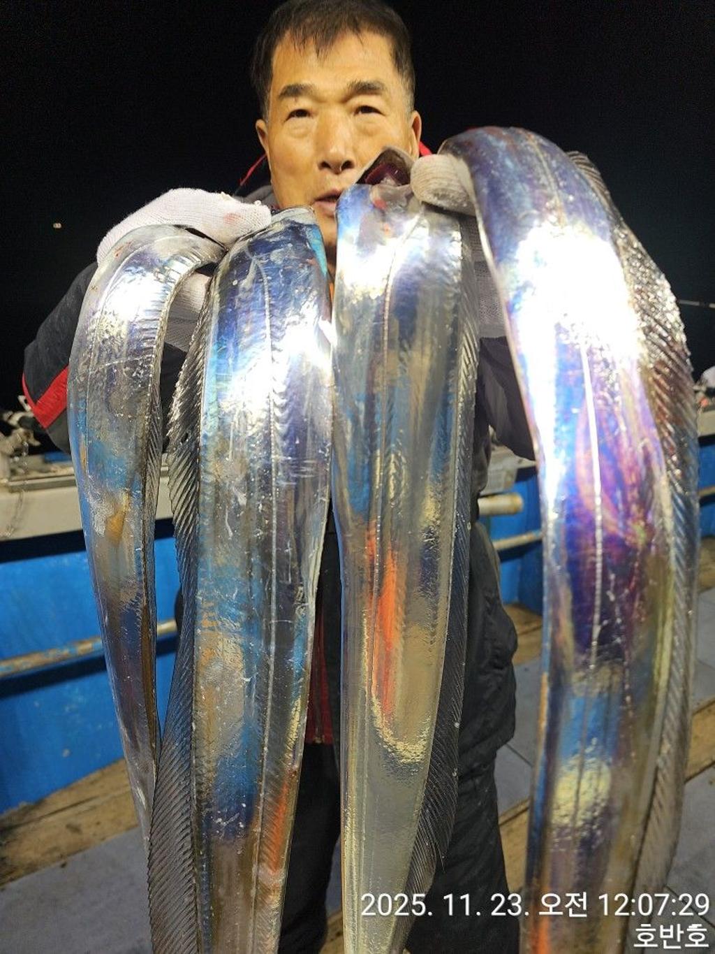 낚시뚜,갈치,통영 신전항,통영호반호,낚시뚜21