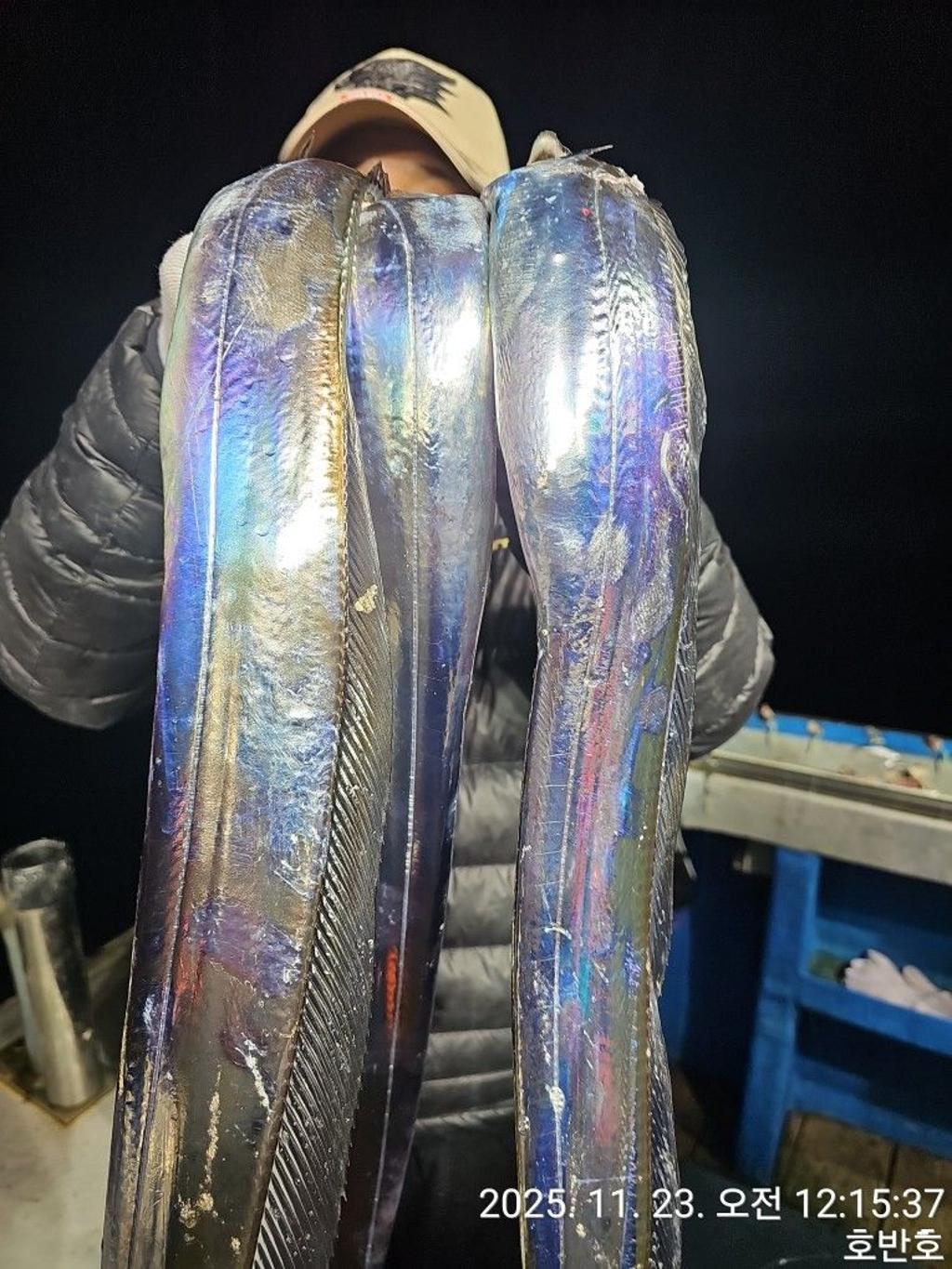 낚시뚜,갈치,통영 신전항,통영호반호,낚시뚜11