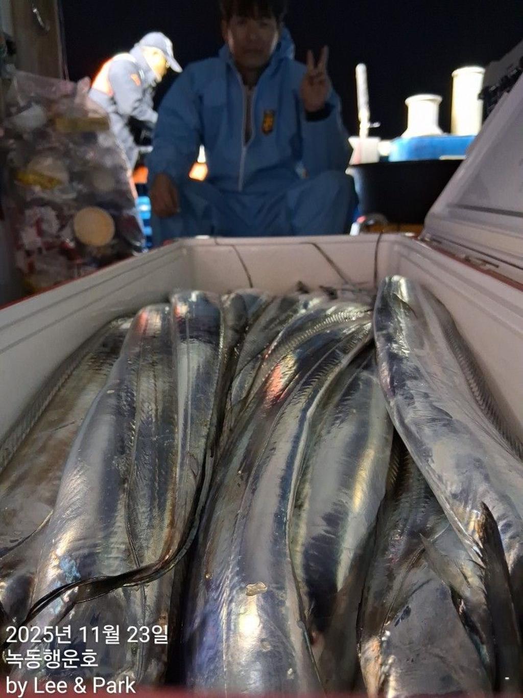 낚시뚜,갈치,녹동항,녹동대성호,낚시뚜17