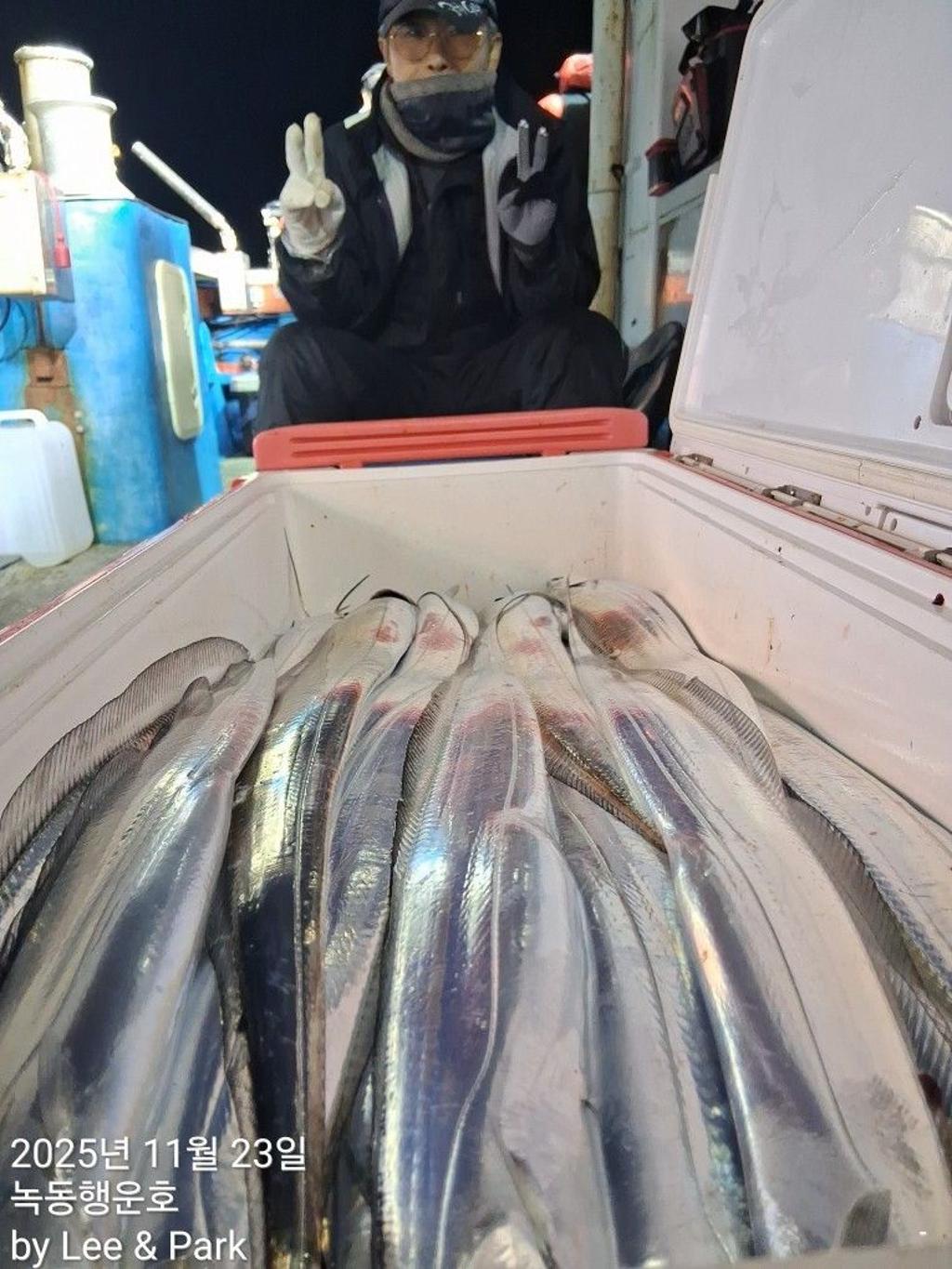 낚시뚜,갈치,녹동항,녹동대성호,낚시뚜15