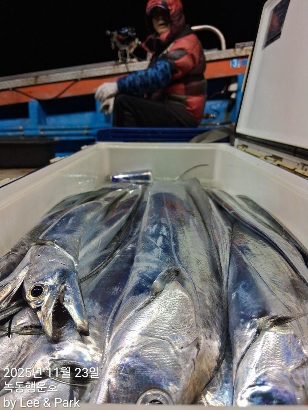 낚시뚜,갈치,녹동항,녹동대성호,낚시뚜14