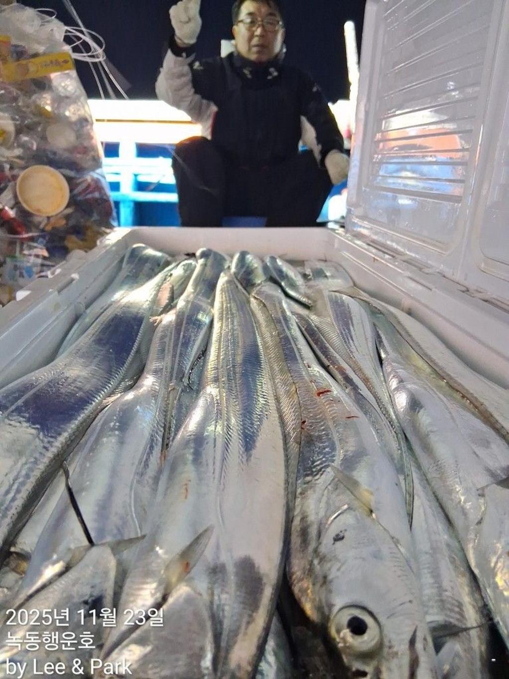 낚시뚜,갈치,녹동항,녹동대성호,낚시뚜13