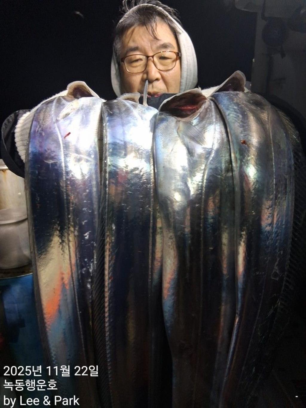 낚시뚜,갈치,녹동항,녹동대성호,낚시뚜9