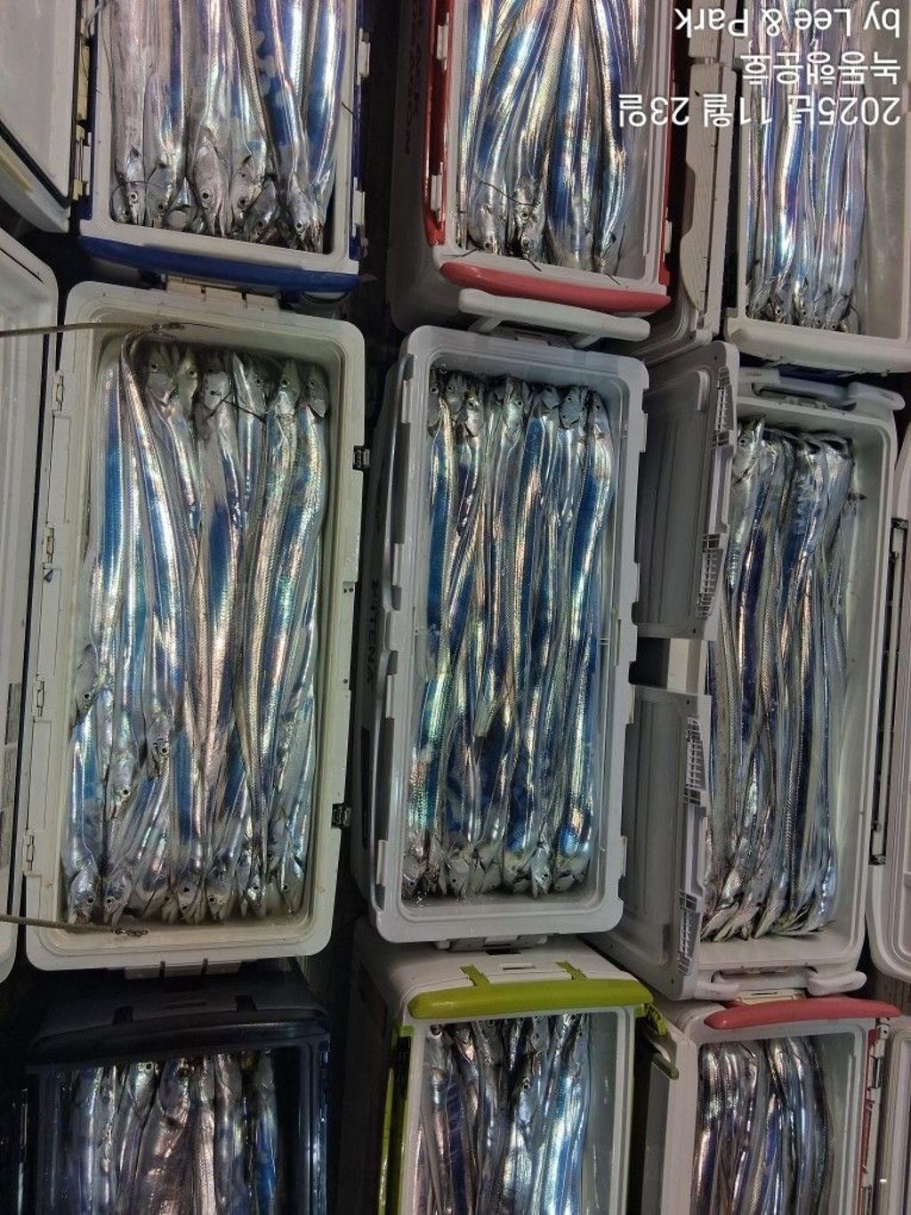 낚시뚜,갈치,녹동항,녹동대성호,낚시뚜2