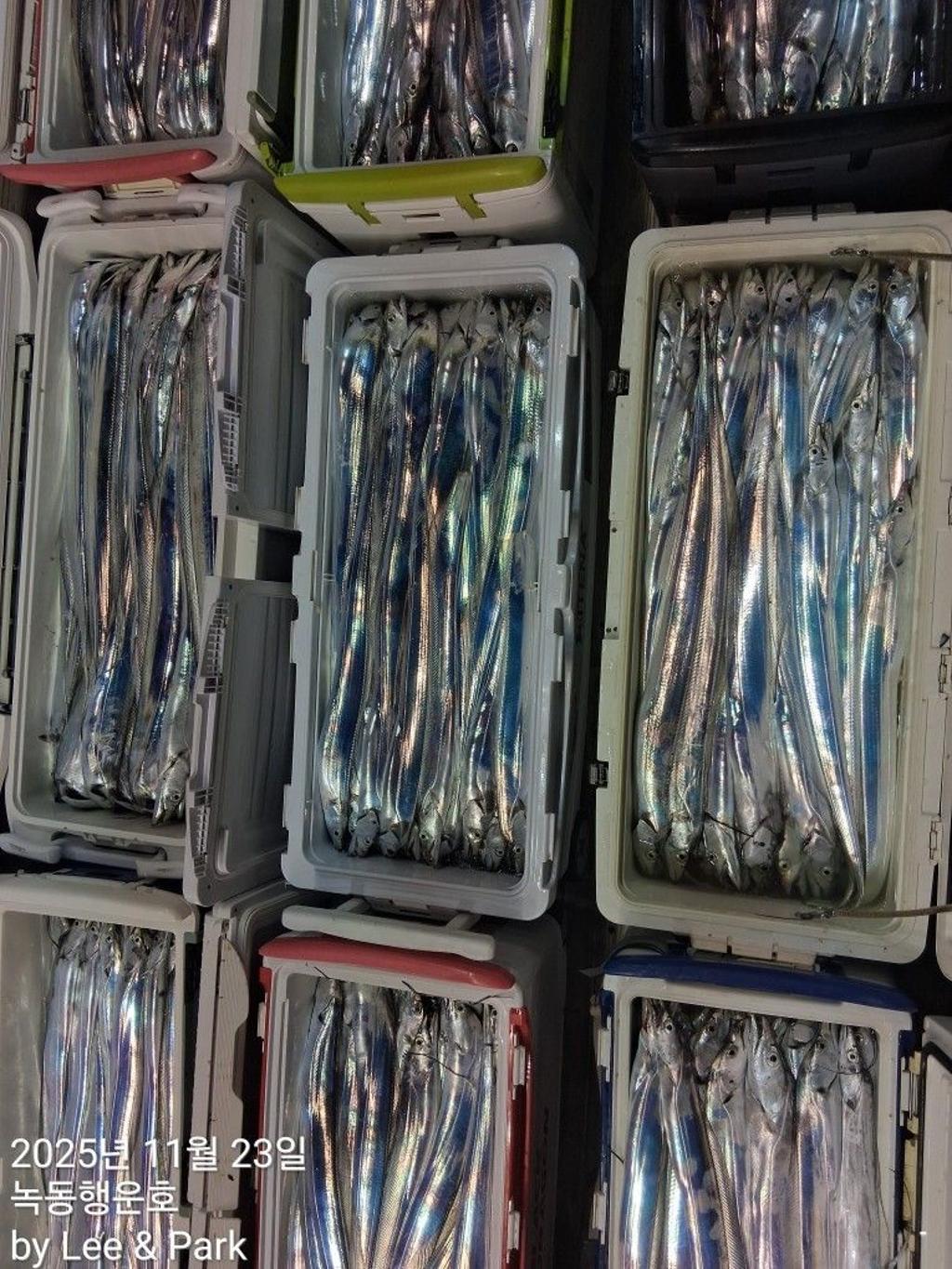 낚시뚜,갈치,녹동항,녹동대성호,낚시뚜1