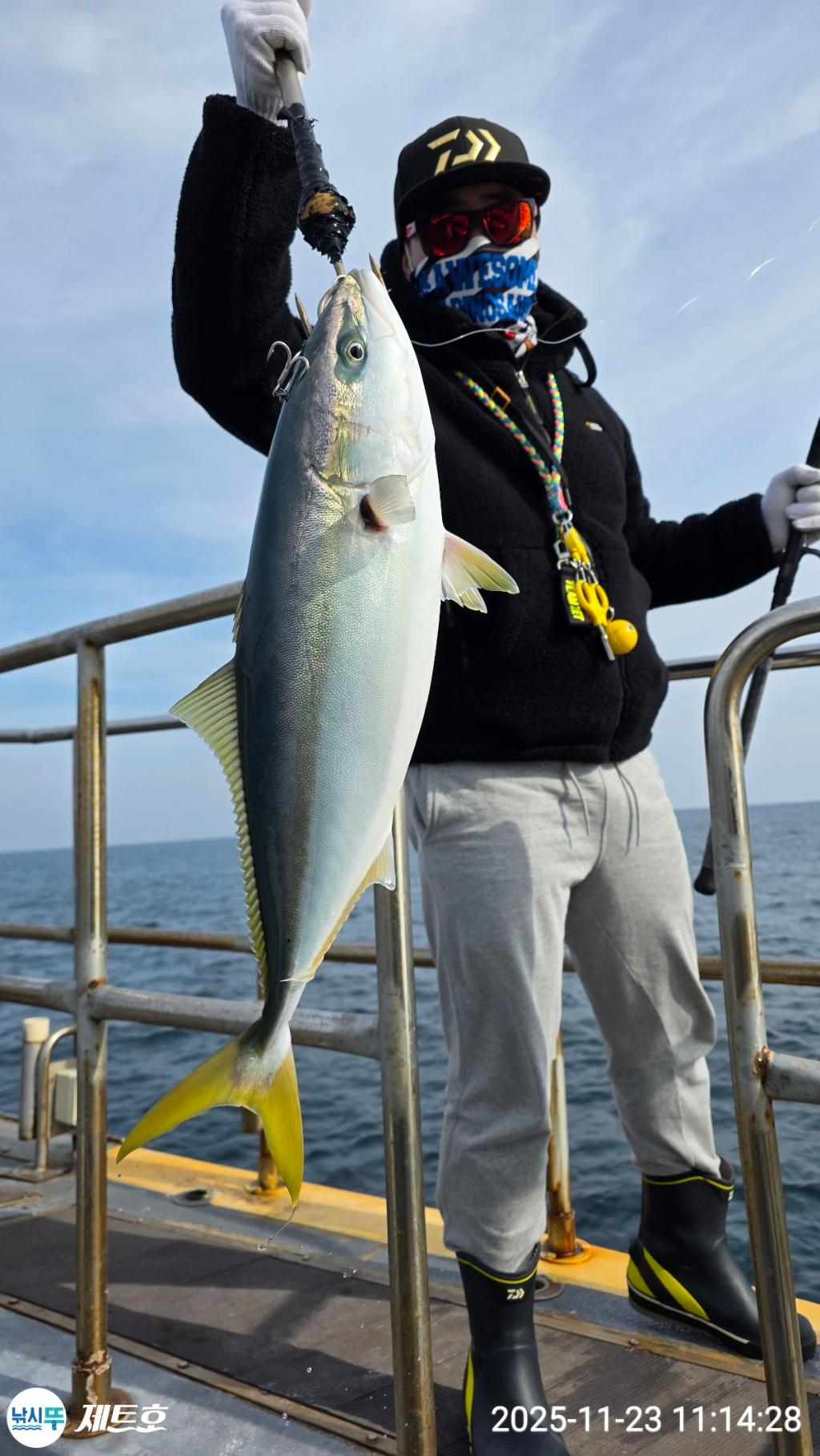 낚시뚜,방어,삼치,영일만항,포항 제트호,낚시뚜18