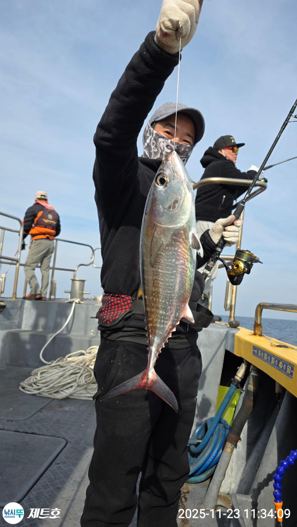 낚시뚜,방어,삼치,영일만항,포항 제트호,낚시뚜17