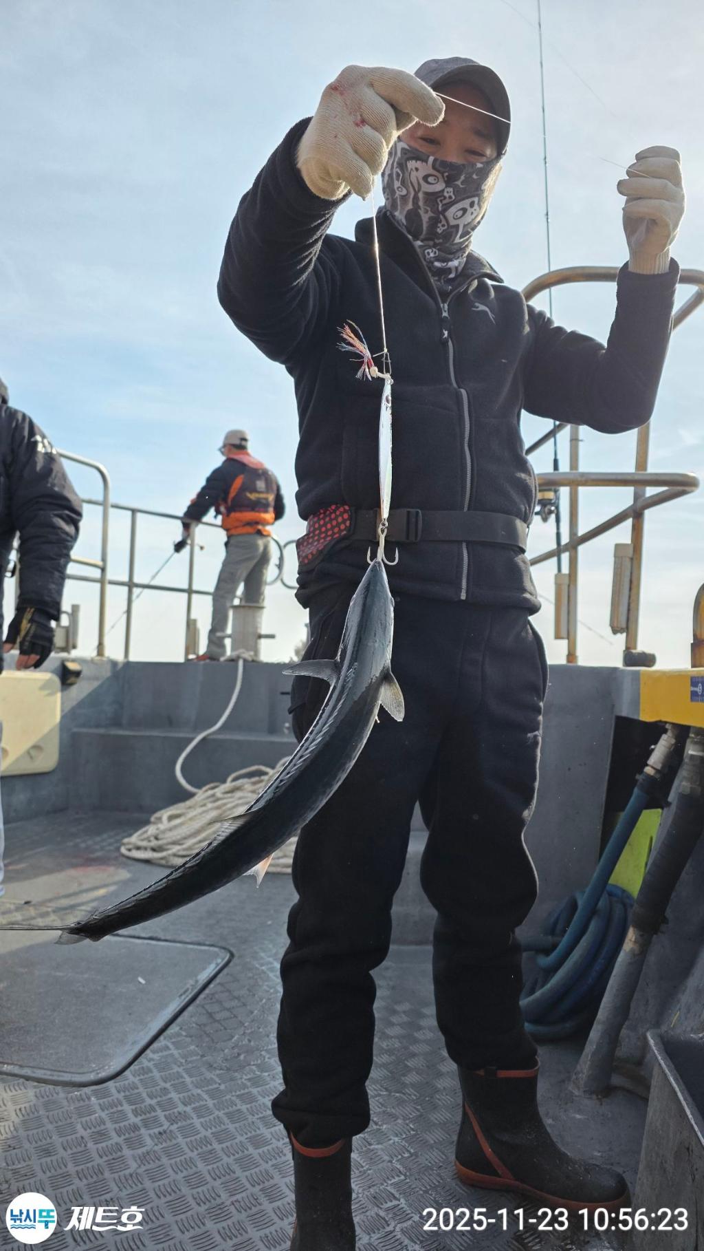 낚시뚜,방어,삼치,영일만항,포항 제트호,낚시뚜16