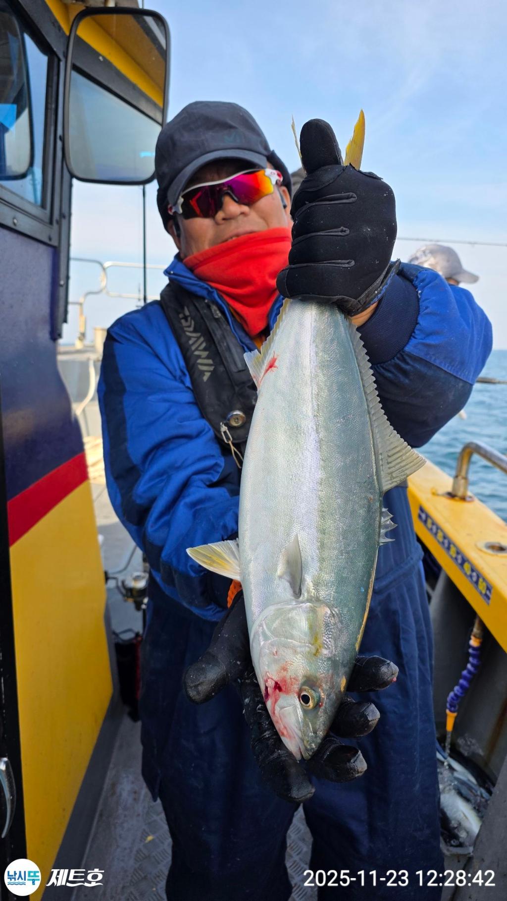 낚시뚜,방어,삼치,영일만항,포항 제트호,낚시뚜15