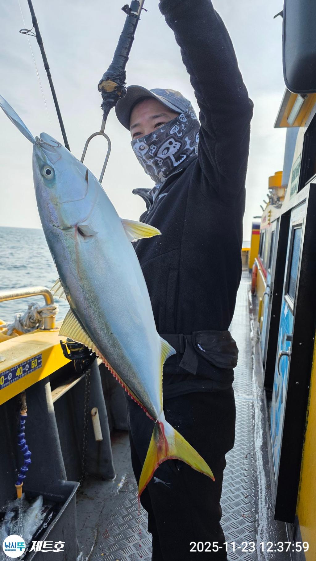 낚시뚜,방어,삼치,영일만항,포항 제트호,낚시뚜10
