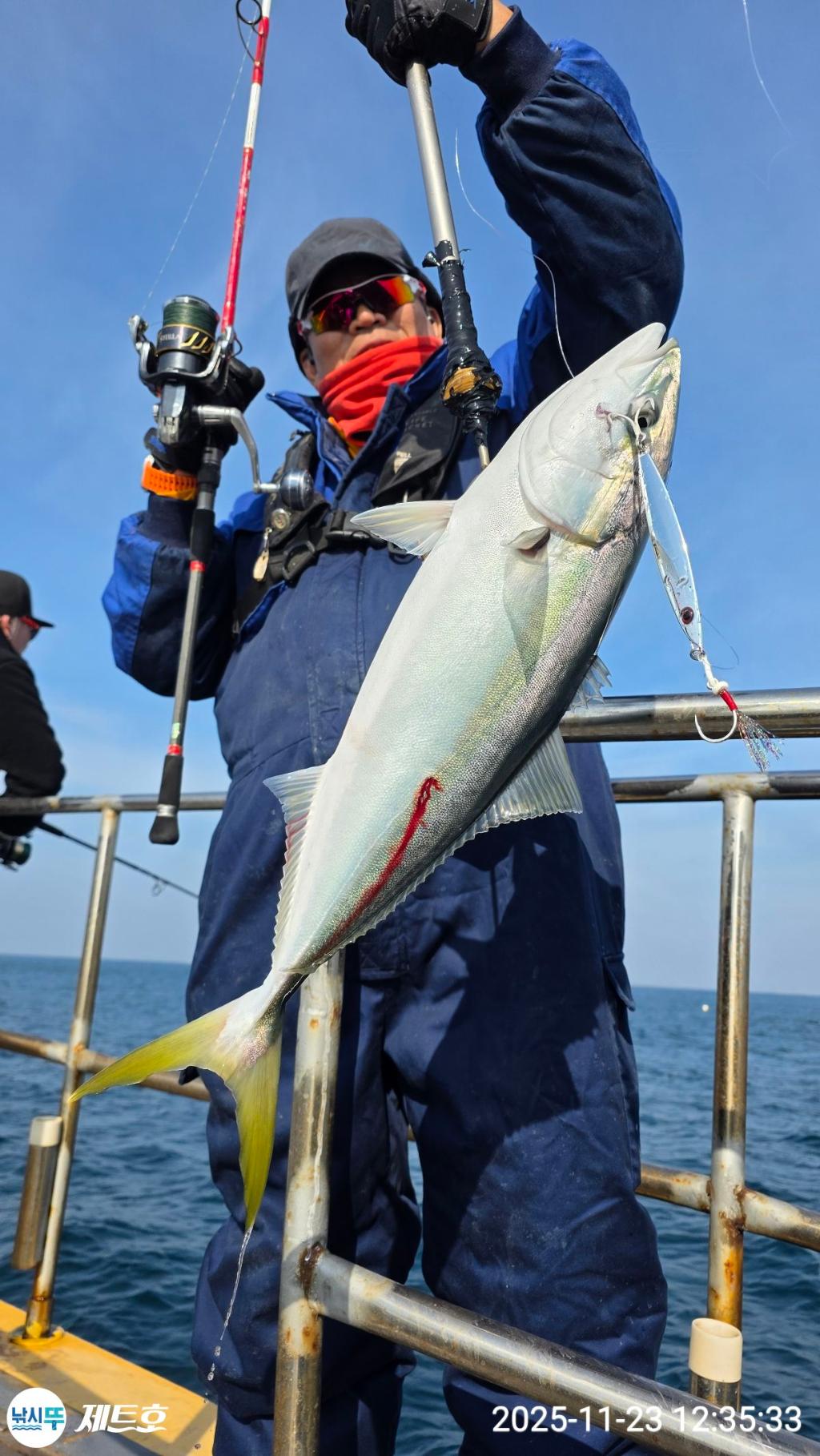 낚시뚜,방어,삼치,영일만항,포항 제트호,낚시뚜9