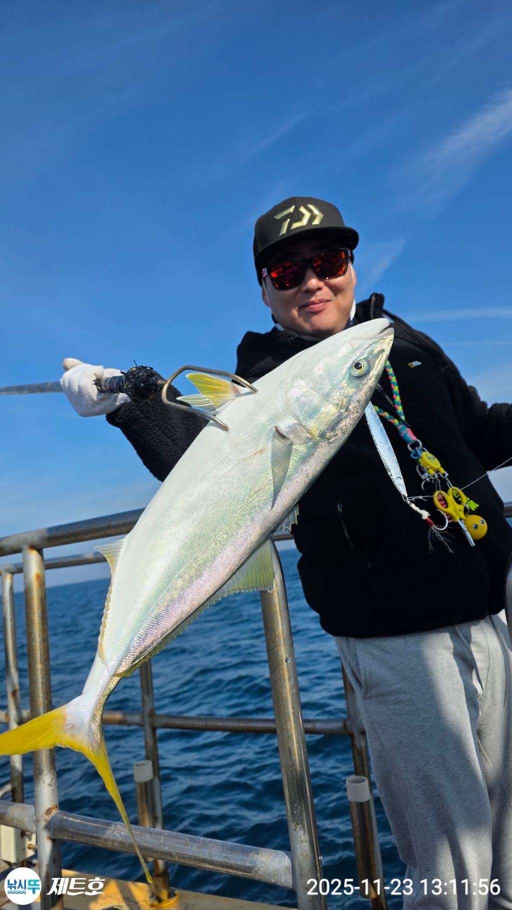 낚시뚜,방어,삼치,영일만항,포항 제트호,낚시뚜8