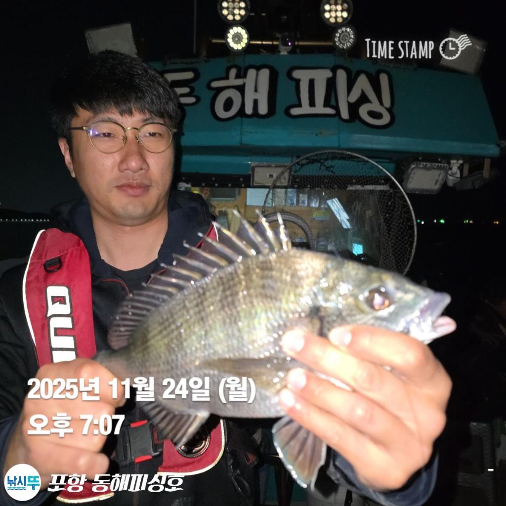 낚시뚜,감성돔,포항(운하관),포항 동해피싱호,낚시뚜5