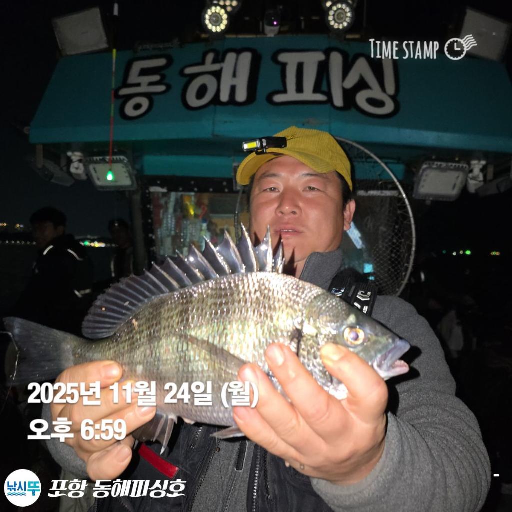 낚시뚜,감성돔,포항(운하관),포항 동해피싱호,낚시뚜4
