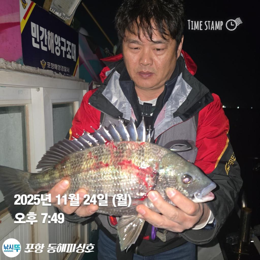 낚시뚜,감성돔,포항(운하관),포항 동해피싱호,낚시뚜2