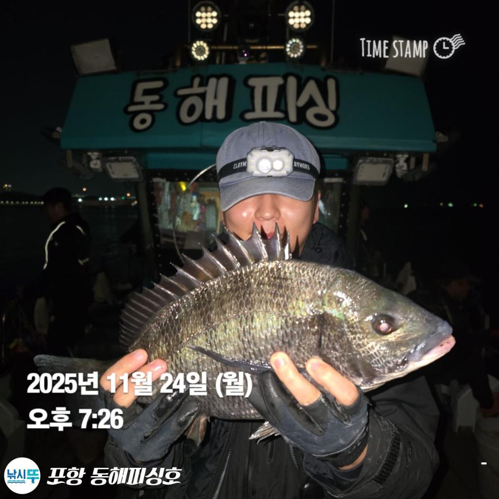 낚시뚜,감성돔,포항(운하관),포항 동해피싱호,낚시뚜0
