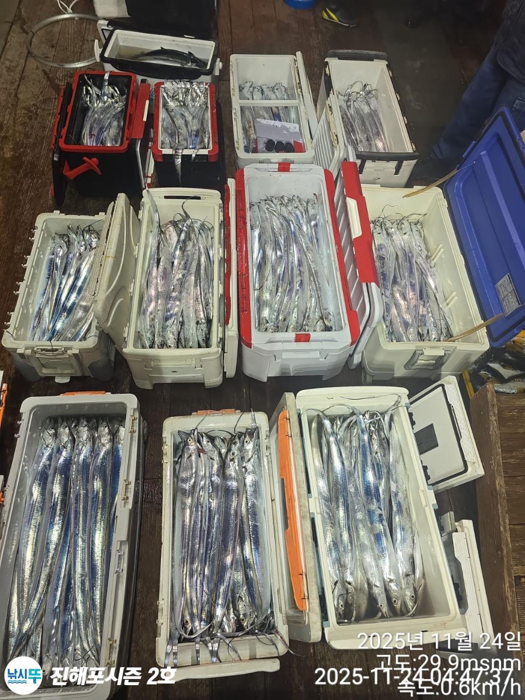 낚시뚜,갈치,진해행암항,진해포시즌 2호,낚시뚜20