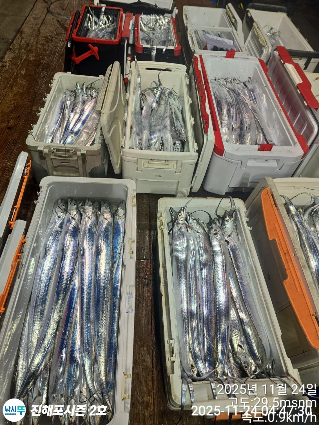 낚시뚜,갈치,진해행암항,진해포시즌 2호,낚시뚜19