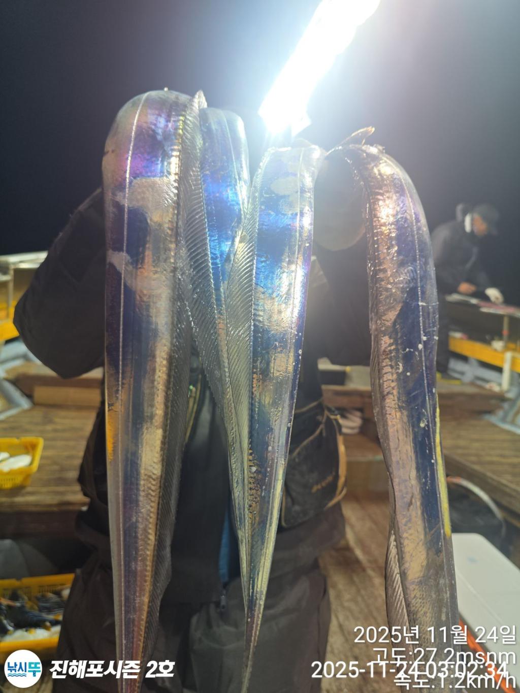 낚시뚜,갈치,진해행암항,진해포시즌 2호,낚시뚜6