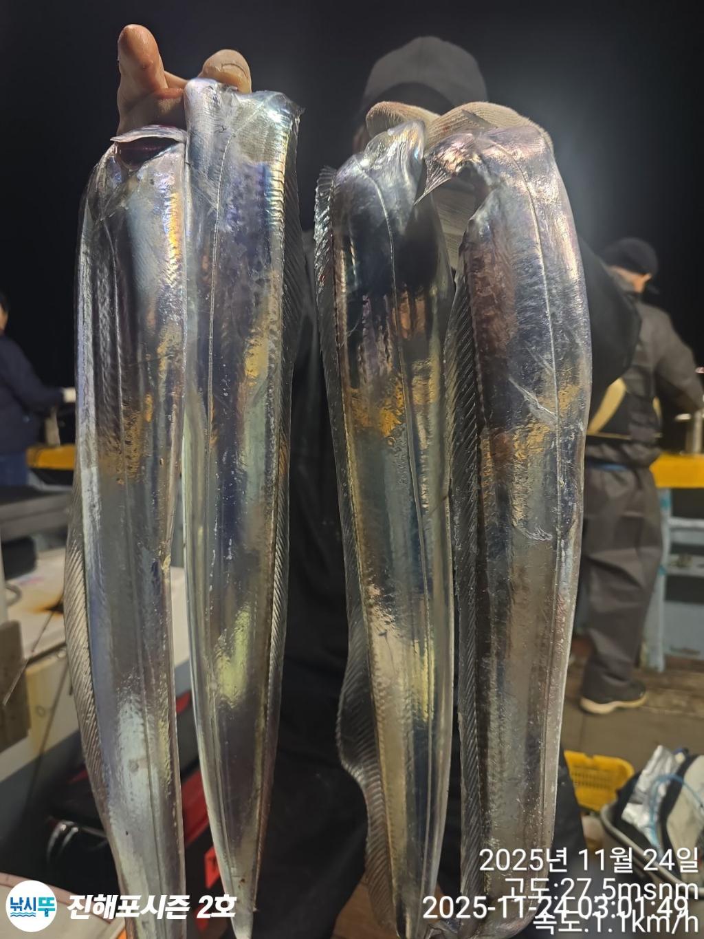 낚시뚜,갈치,진해행암항,진해포시즌 2호,낚시뚜5