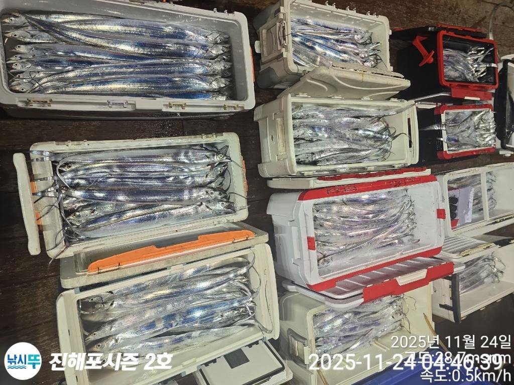 낚시뚜,갈치,진해행암항,진해포시즌 2호,낚시뚜2