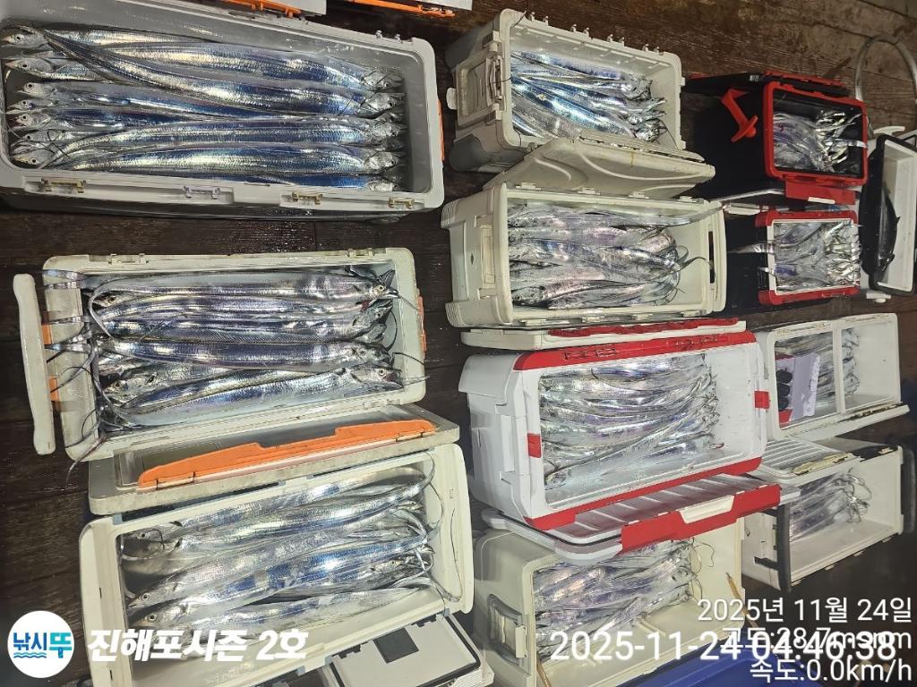 낚시뚜,갈치,진해행암항,진해포시즌 2호,낚시뚜1