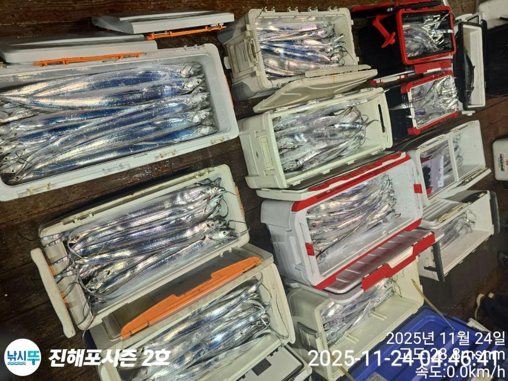 낚시뚜,갈치,진해행암항,진해포시즌 2호,낚시뚜0