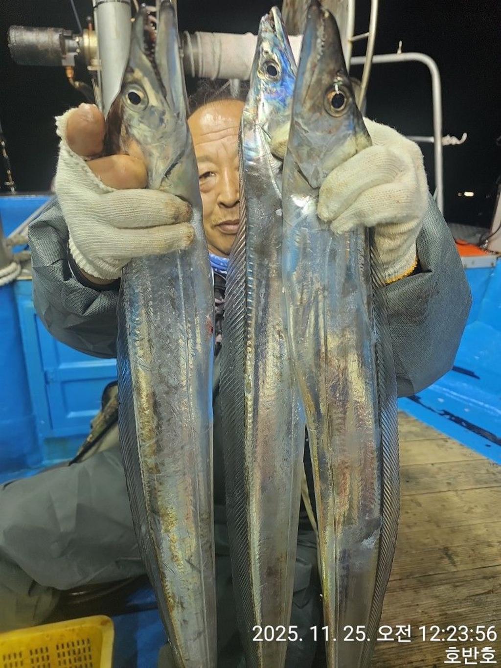 낚시뚜,갈치,통영 신전항,통영호반호,낚시뚜24