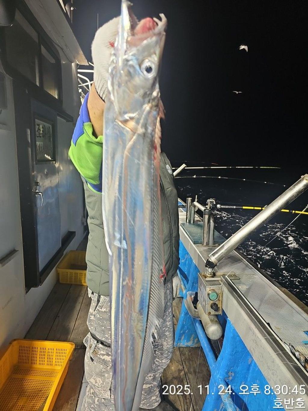 낚시뚜,갈치,통영 신전항,통영호반호,낚시뚜16