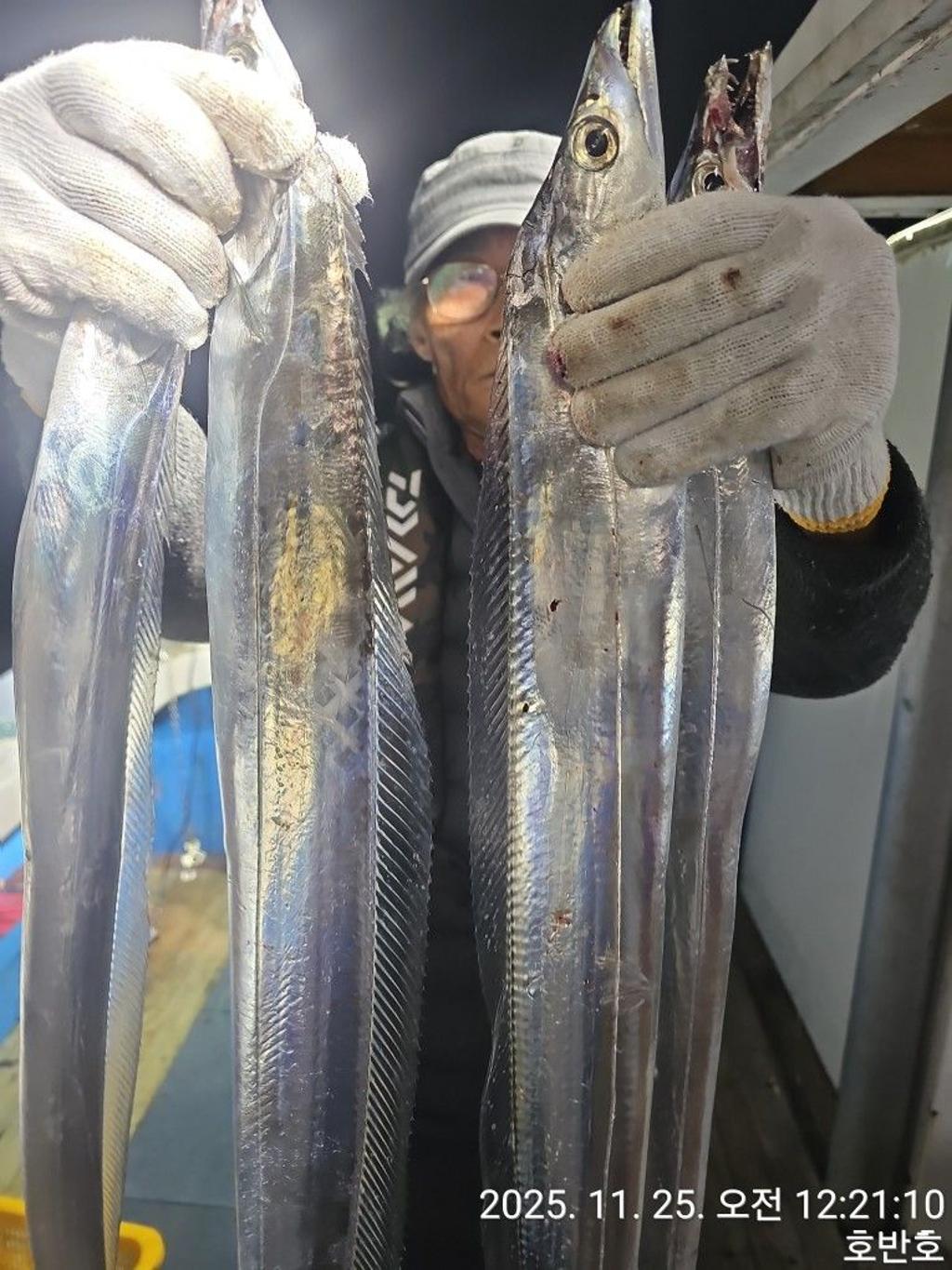 낚시뚜,갈치,통영 신전항,통영호반호,낚시뚜10