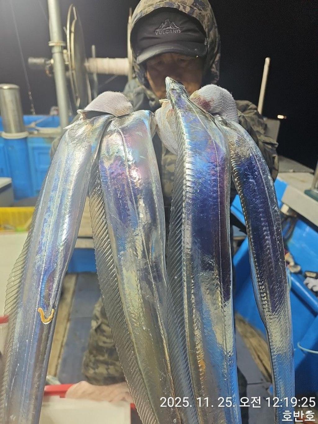 낚시뚜,갈치,통영 신전항,통영호반호,낚시뚜5