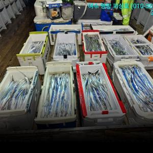 조황, 14석으로 편하게 대장쿨러 조황으로 입항 