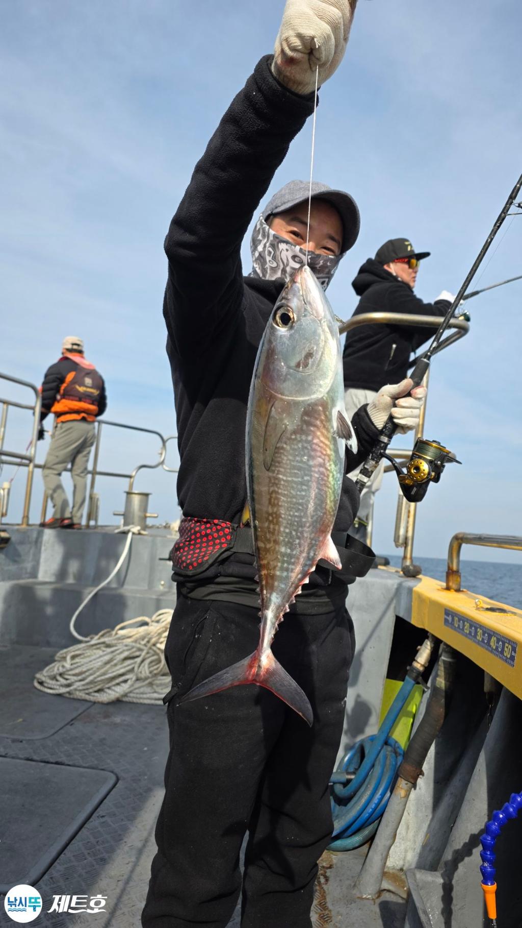 낚시뚜,방어,삼치,영일만항,포항 제트호,낚시뚜10