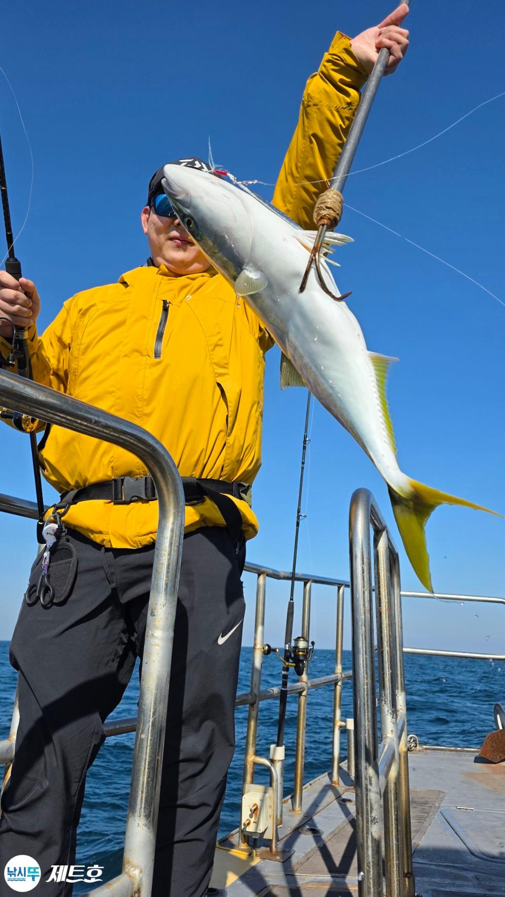 낚시뚜,방어,삼치,영일만항,포항 제트호,낚시뚜5