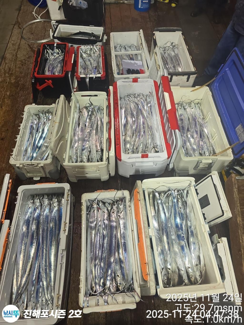 낚시뚜,갈치,진해행암항,진해포시즌 2호,낚시뚜16