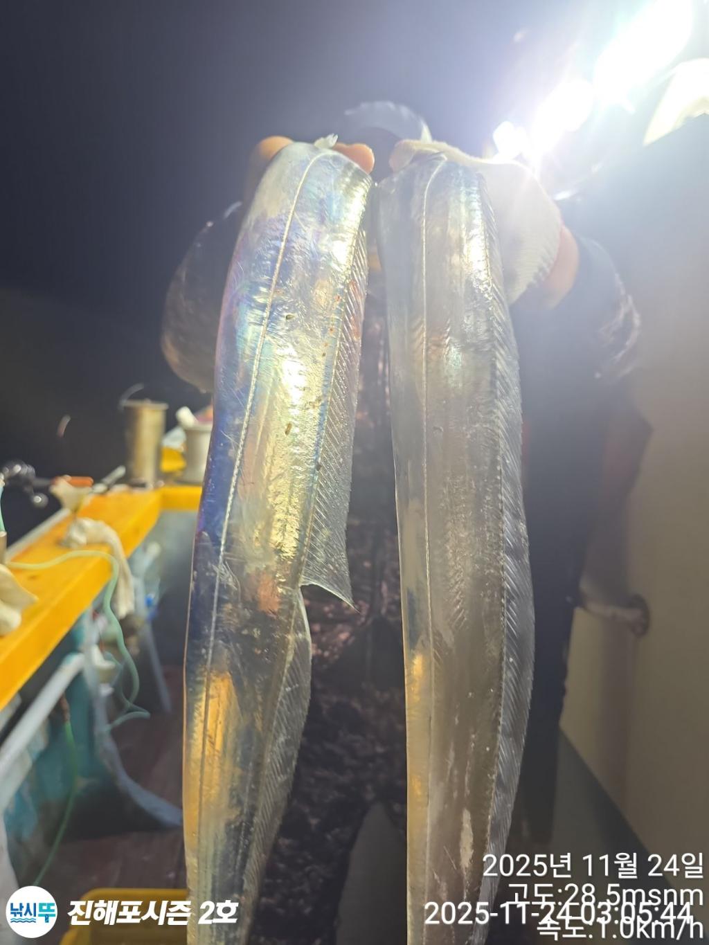 낚시뚜,갈치,진해행암항,진해포시즌 2호,낚시뚜6