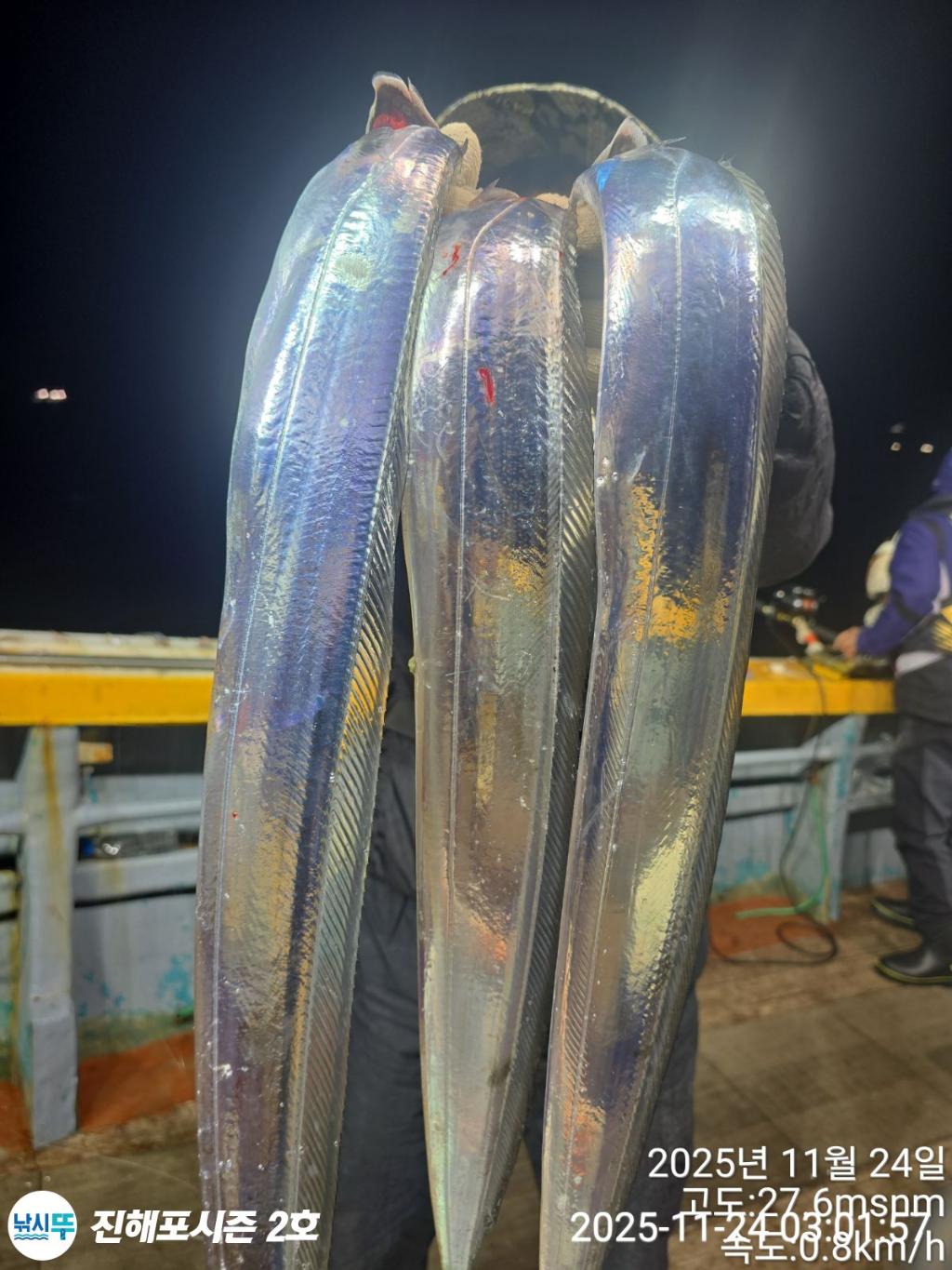 낚시뚜,갈치,진해행암항,진해포시즌 2호,낚시뚜1