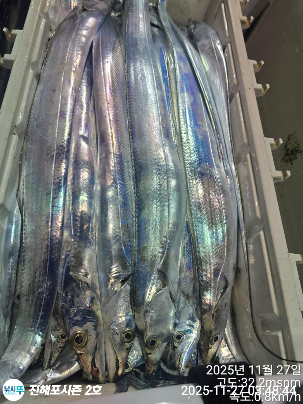 낚시뚜,갈치,진해행암항,진해포시즌 2호,낚시뚜21