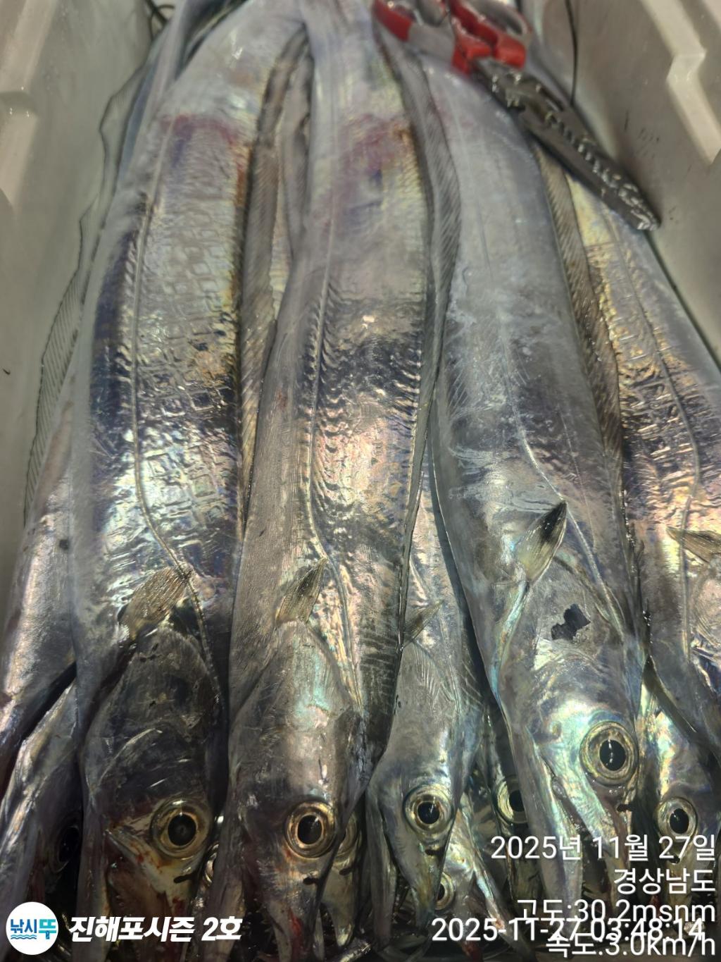 낚시뚜,갈치,진해행암항,진해포시즌 2호,낚시뚜18
